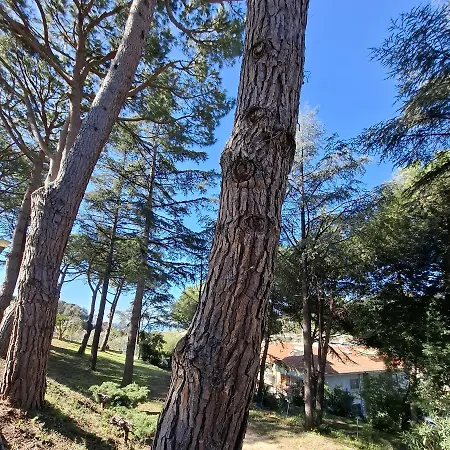 Le Mimose Garden * Bordighera