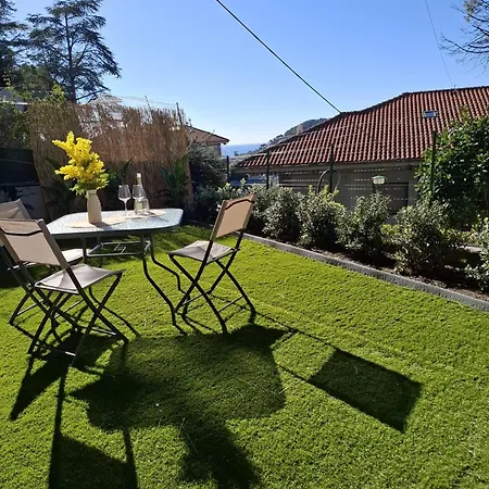 Le Mimose Garden