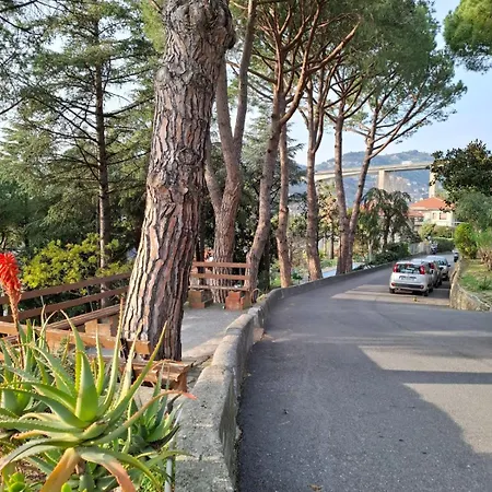 Le Mimose Garden Daire Bordighera