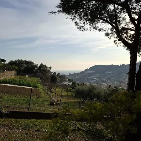 Le Mimose Garden Daire