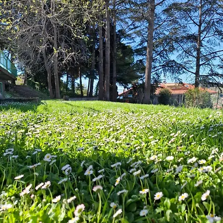 아파트 Le Mimose Garden 보르디게라
