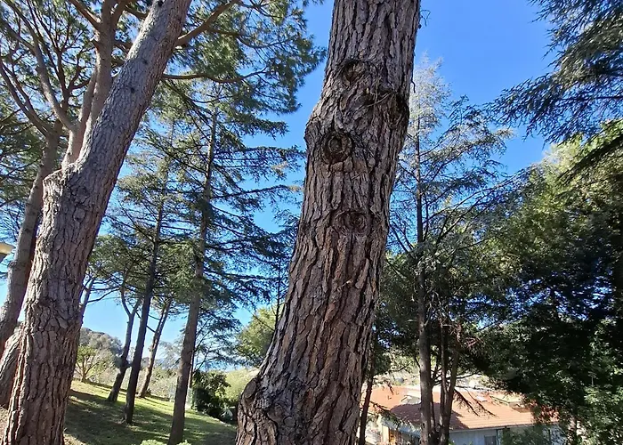 Le Mimose Garden * Bordighera