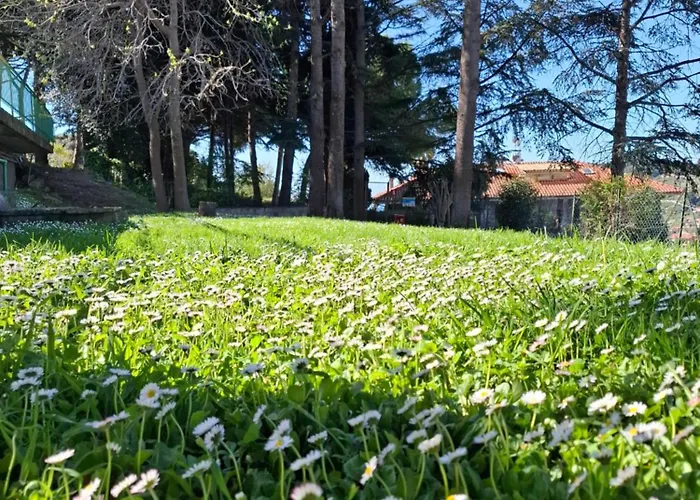 Daire Le Mimose Garden Bordighera